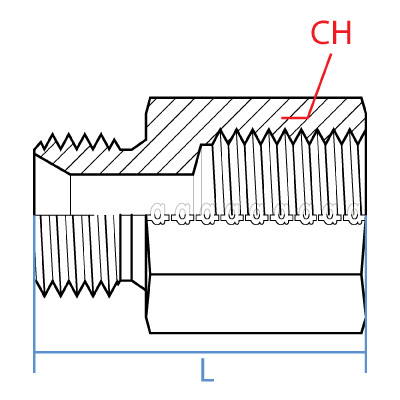 SS9039-02-06